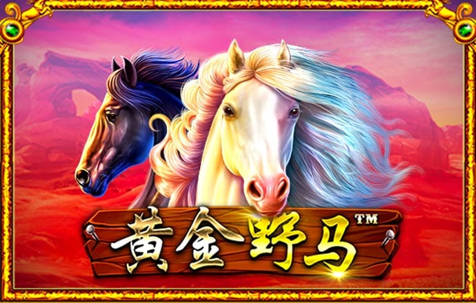 944CC天下彩线路入口5